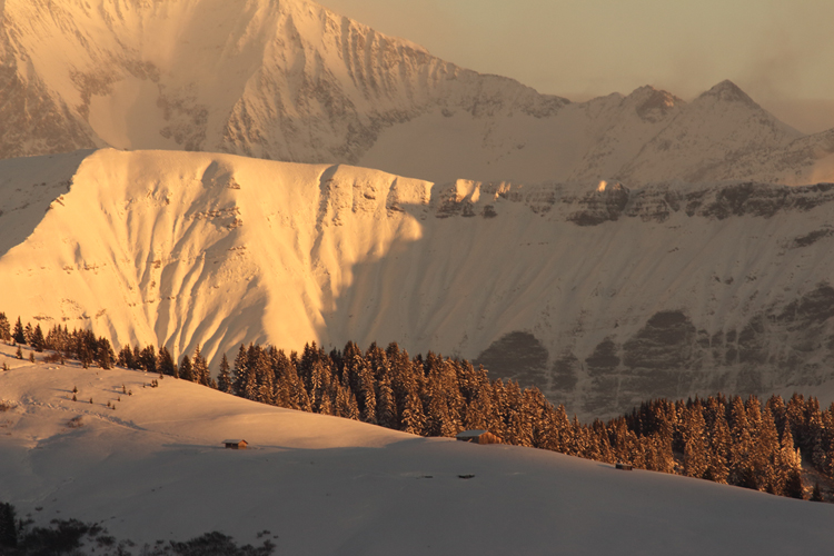 Vallée de l’Arly, julien arbez