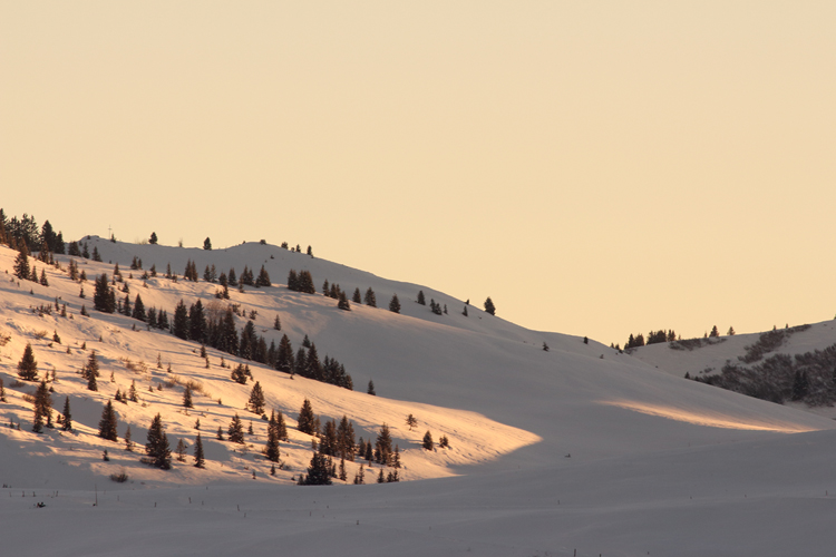 aravis, julien arbez