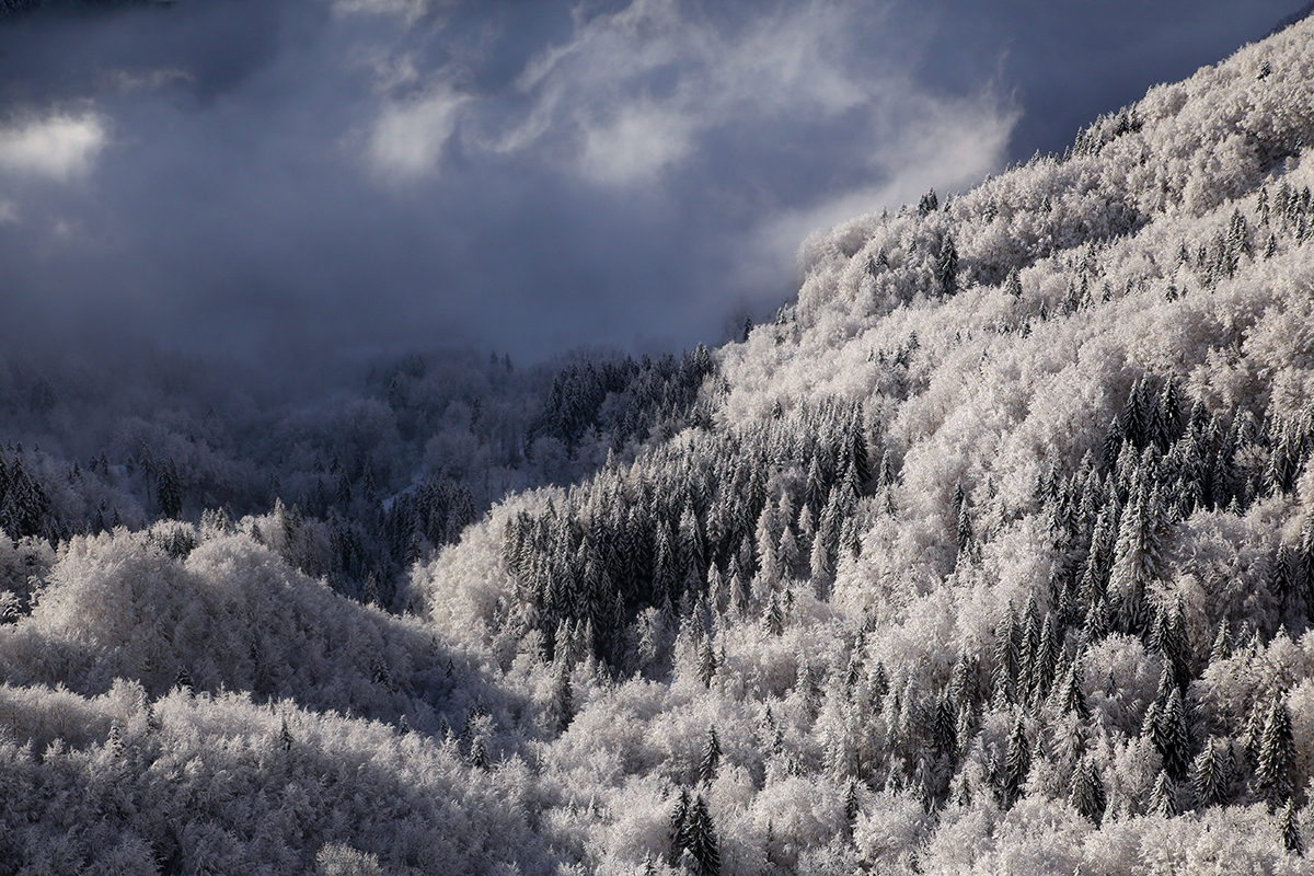 hiver jura