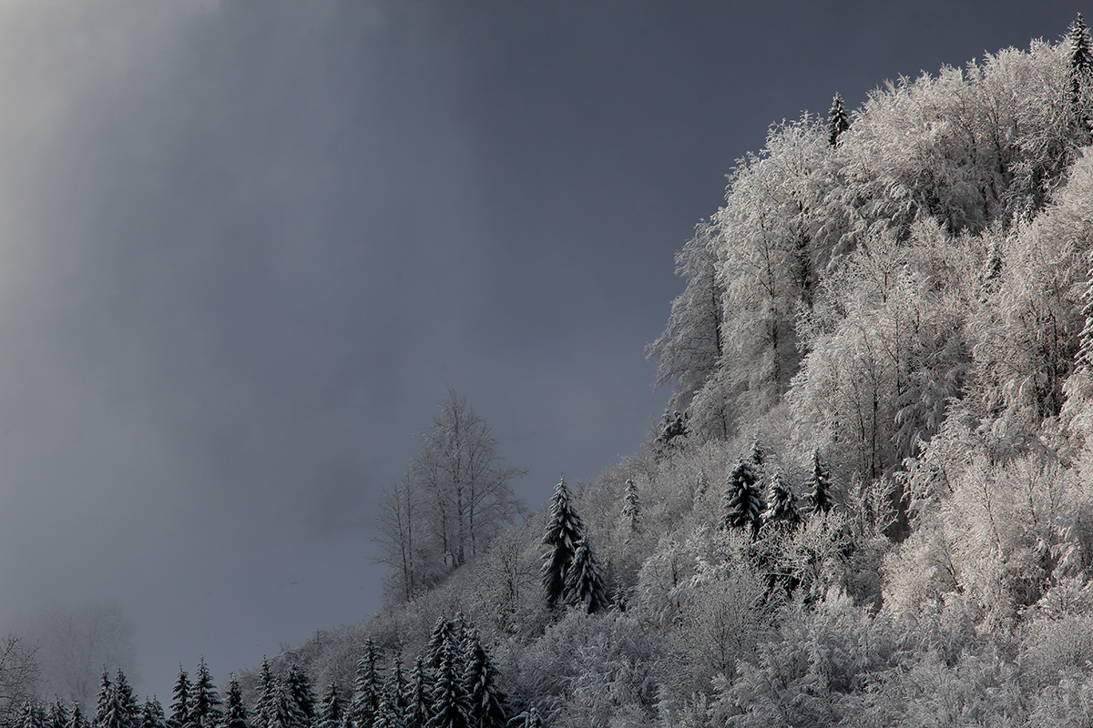 hiver jura