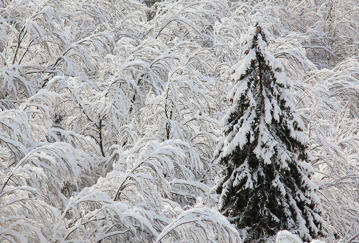 hiver jura