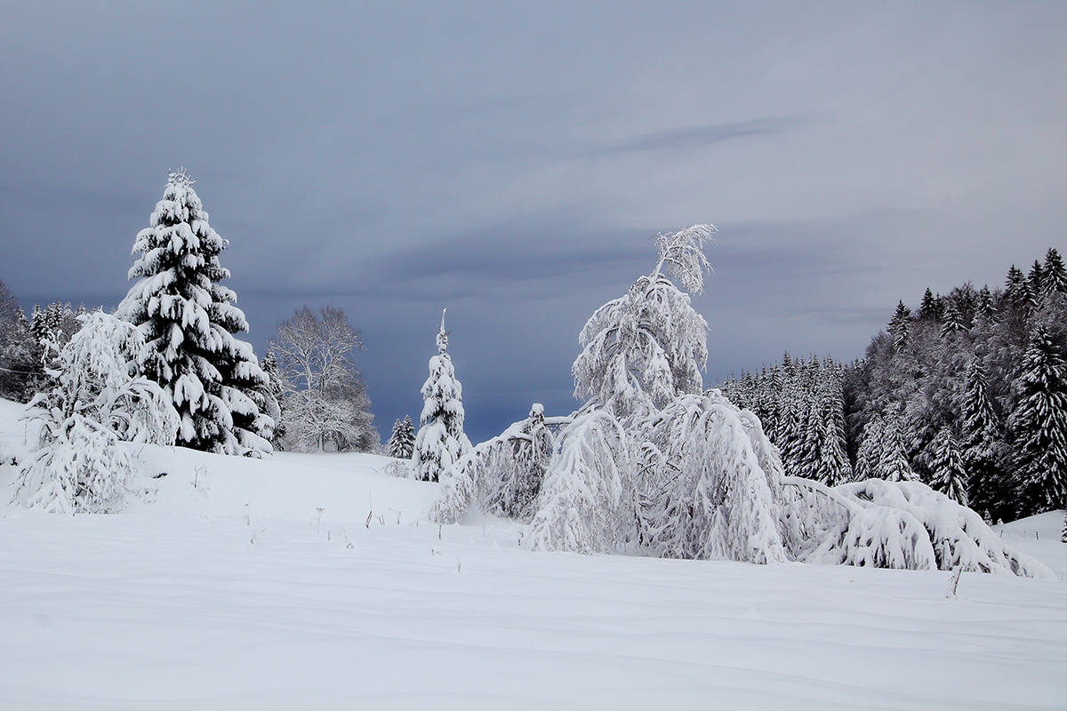 hiver jura