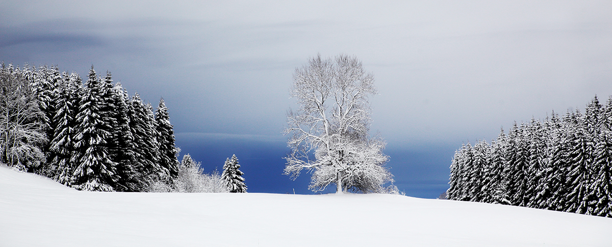 hiver jura