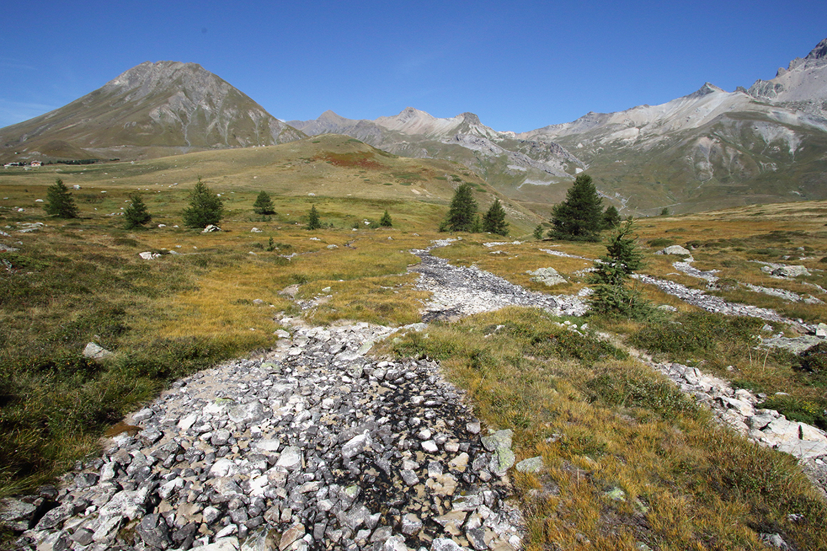 ecrins