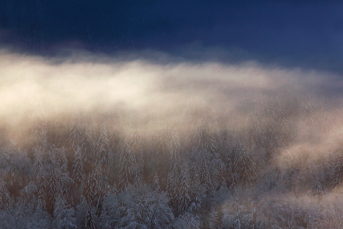 paysage hiver jura