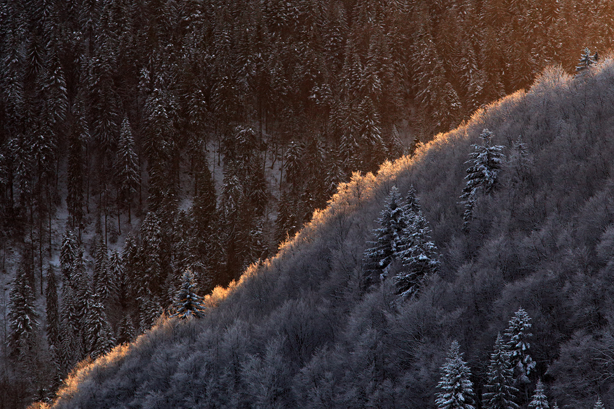 paysage hiver jura