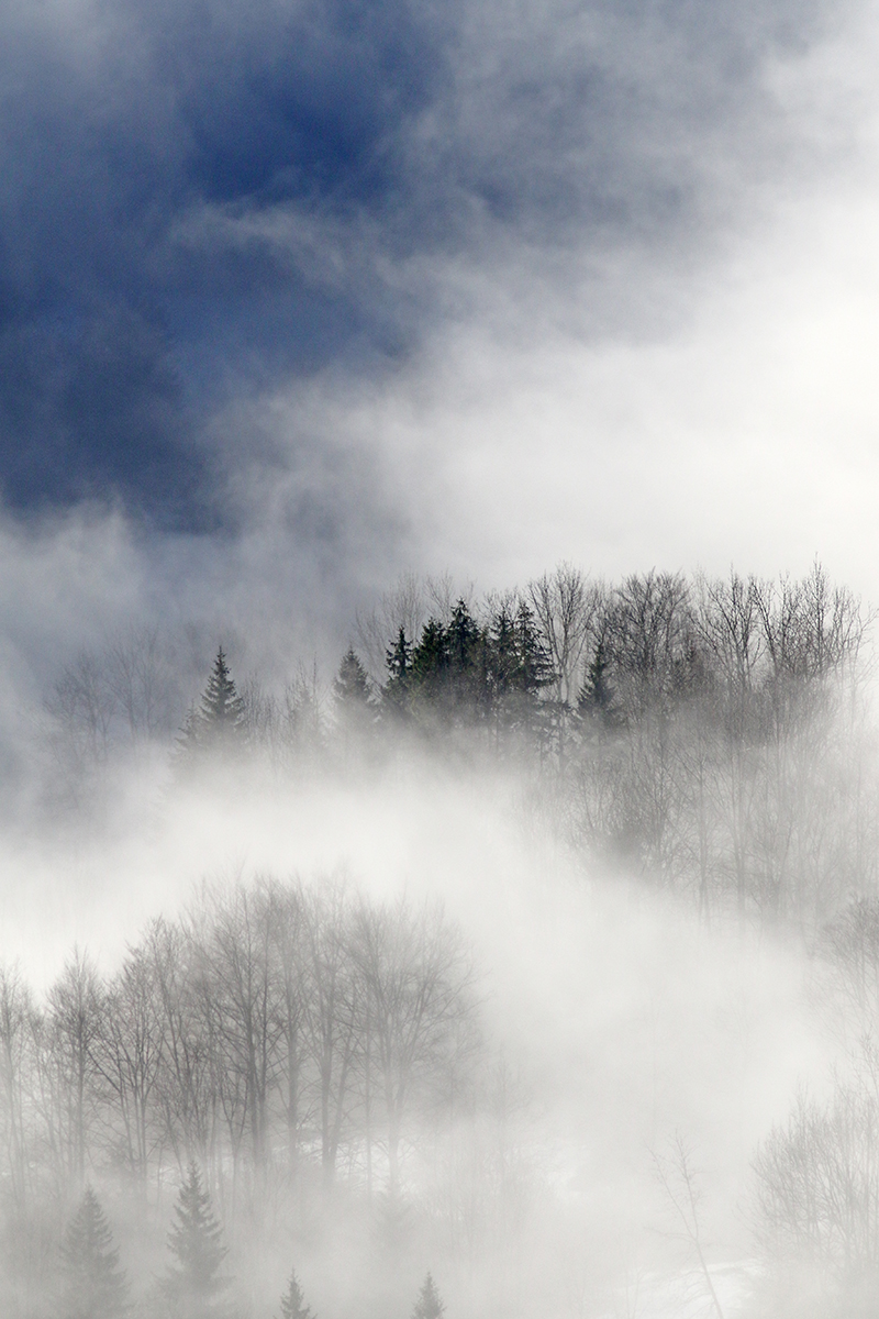 brouillard givrant jura