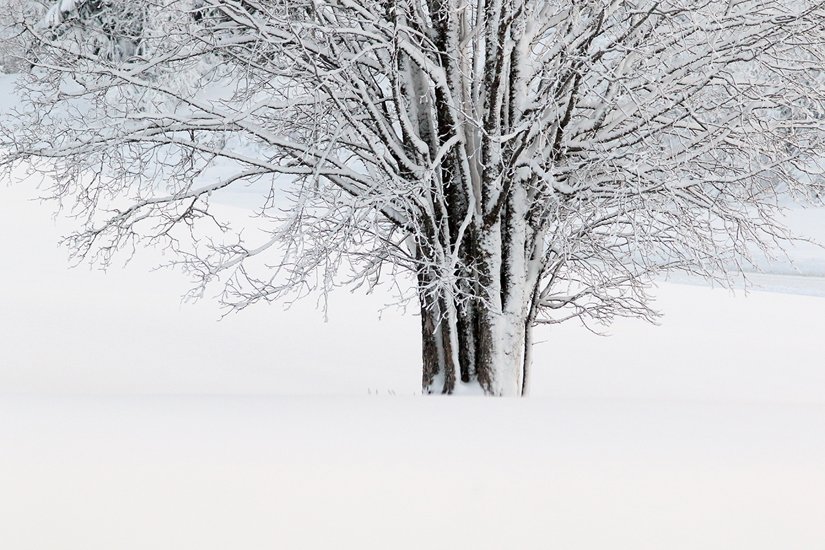 paysage givre jura