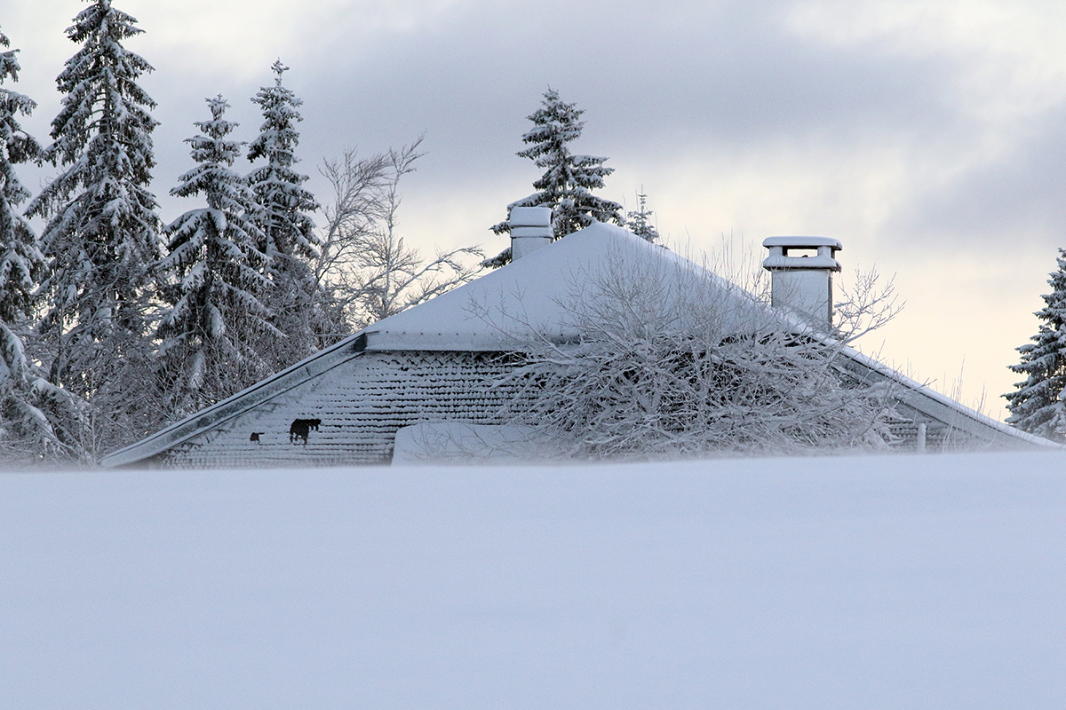 paysage givre jura