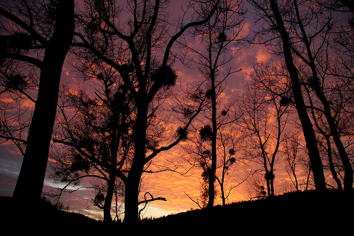 paysage automne jura