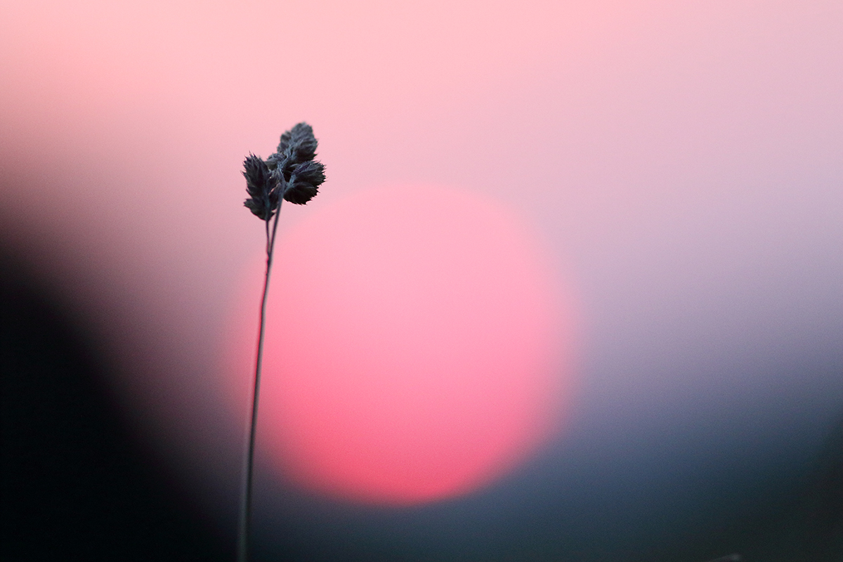 coucher de soleil jura