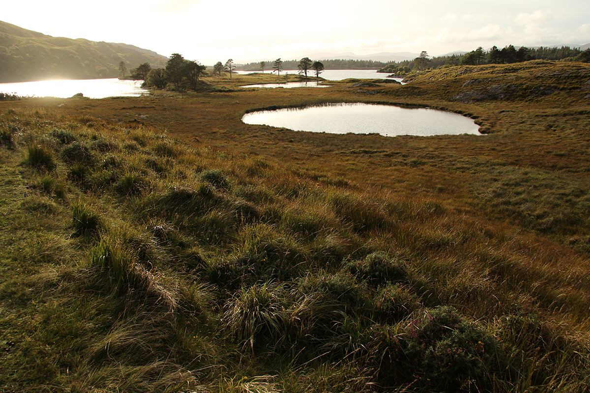 irlande région bantry