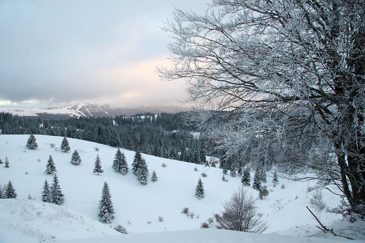 hiver jura