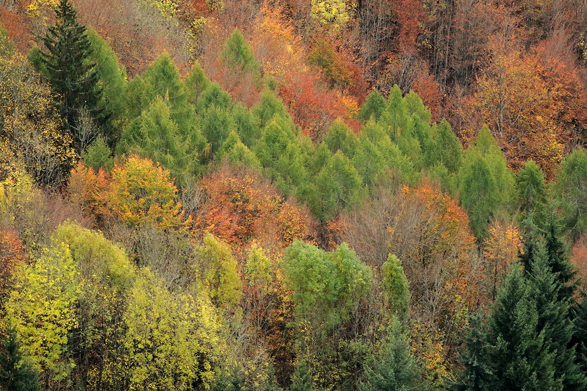 automne jura