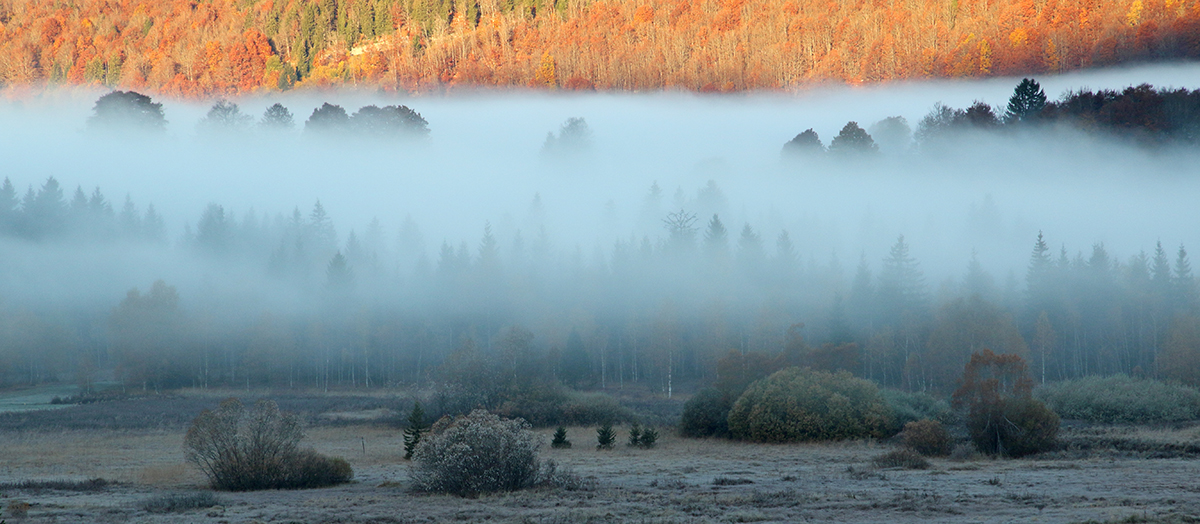 vallée de l’orbe automne