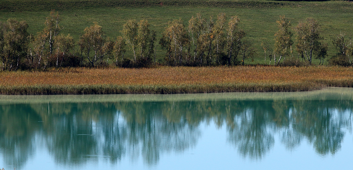 lac clairvaux jura