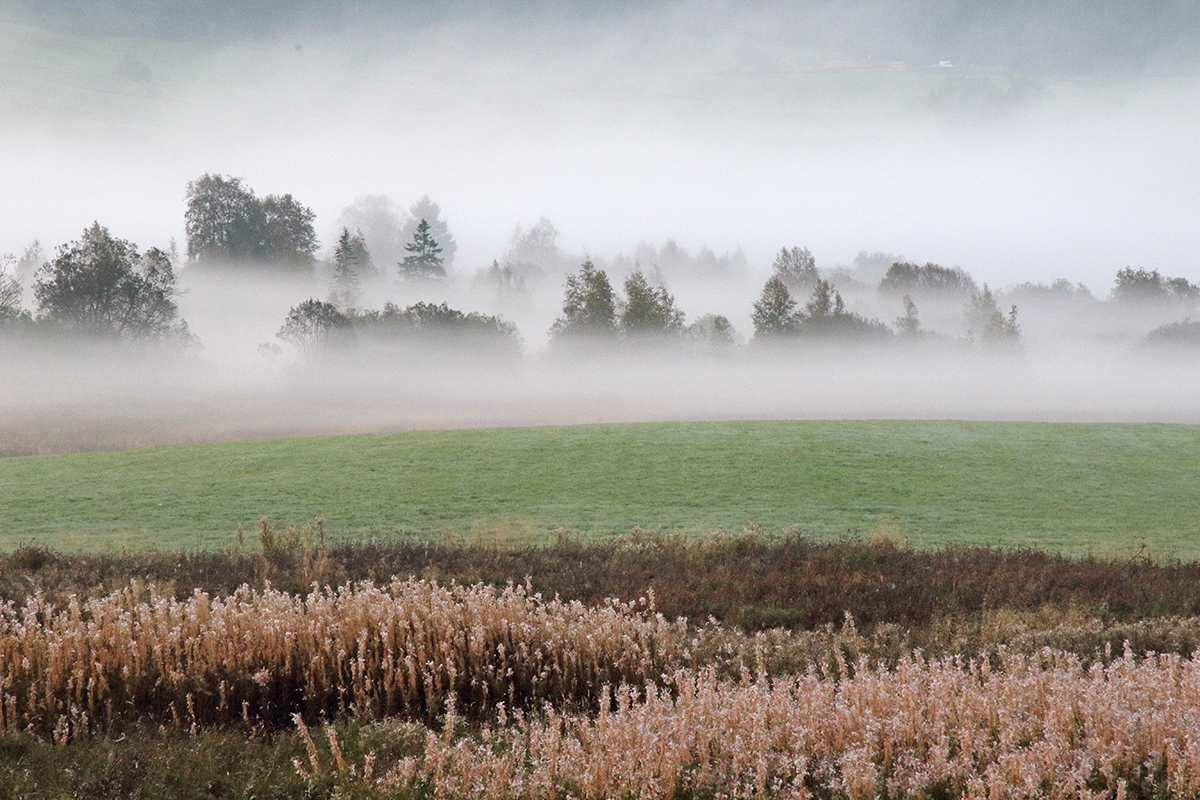 automne vallée de l’orbe