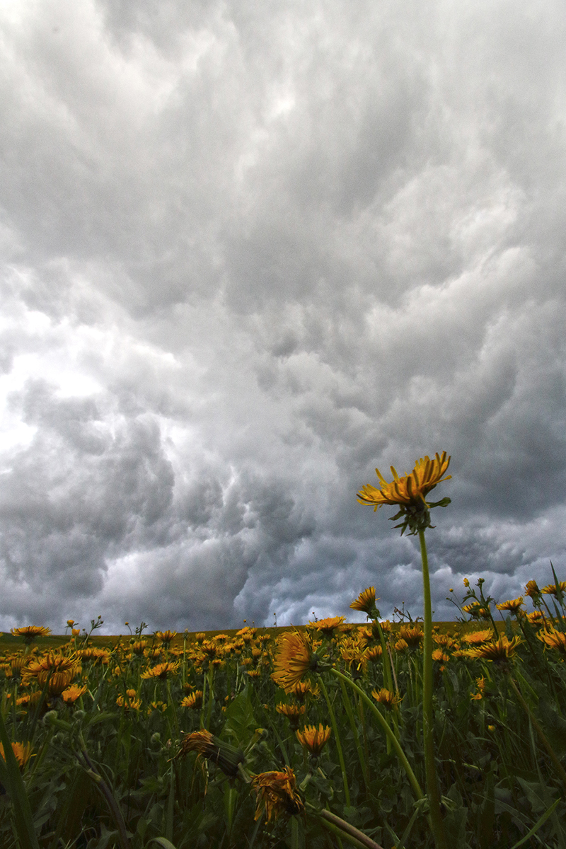 ciel d’orage jura