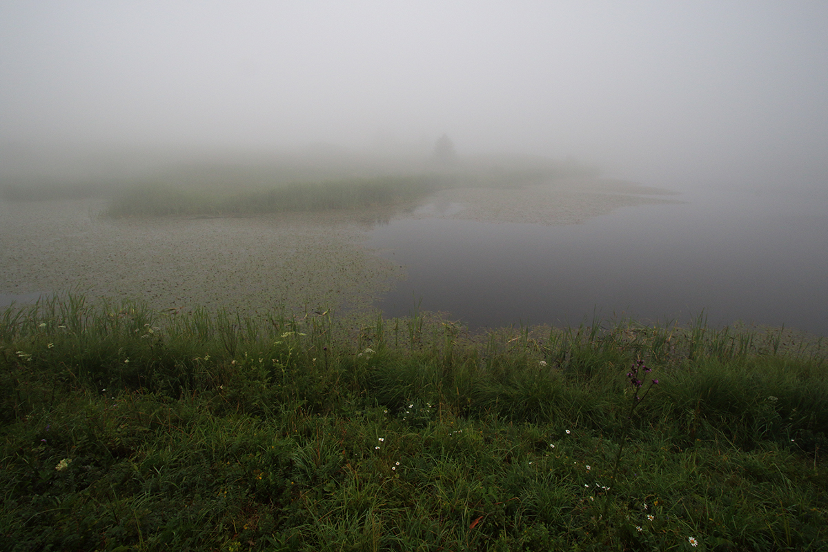 lac brume