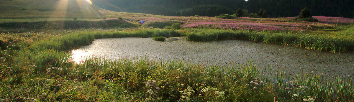 lac embouteilleux