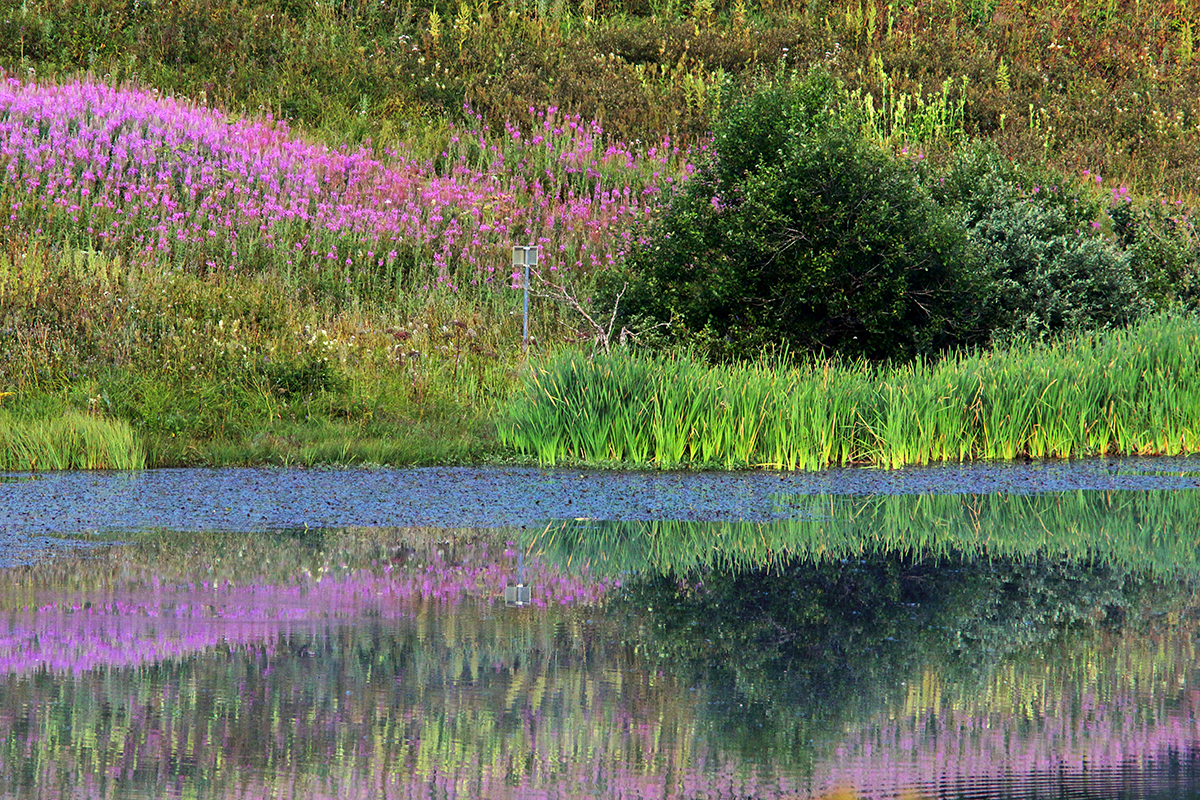 lac embouteilleux