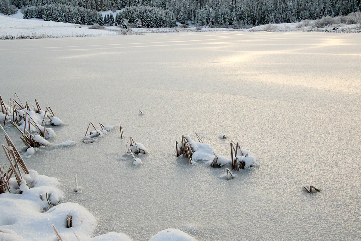 lac de l’embouteilleux