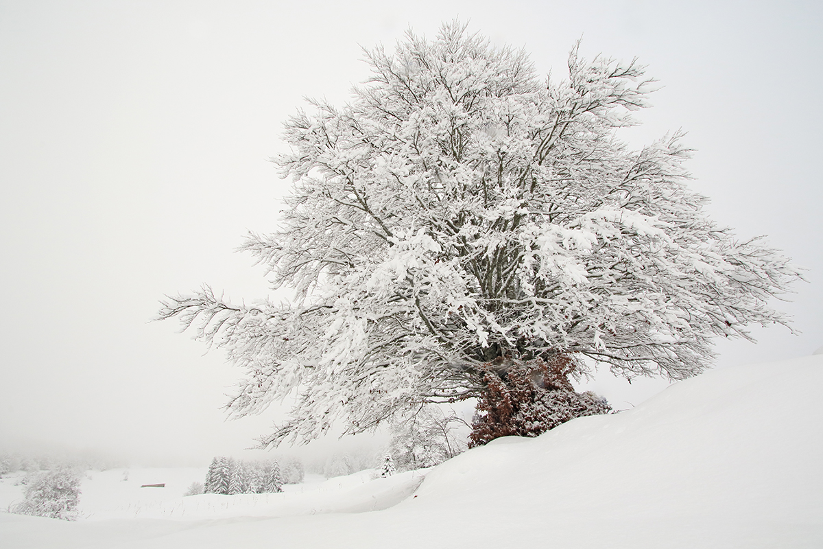 neige haut-jura