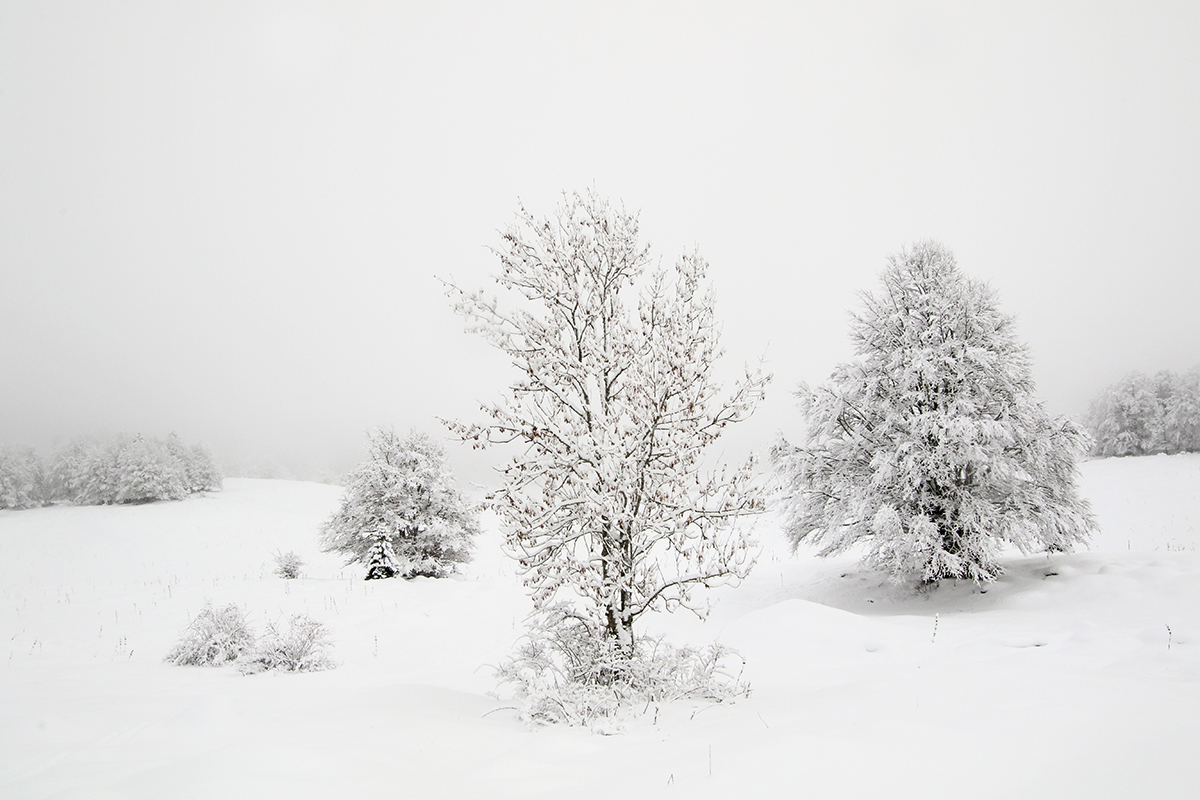 neige haut-jura