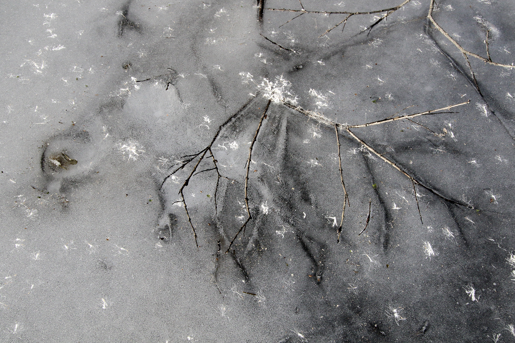 glace lac haut-Jura