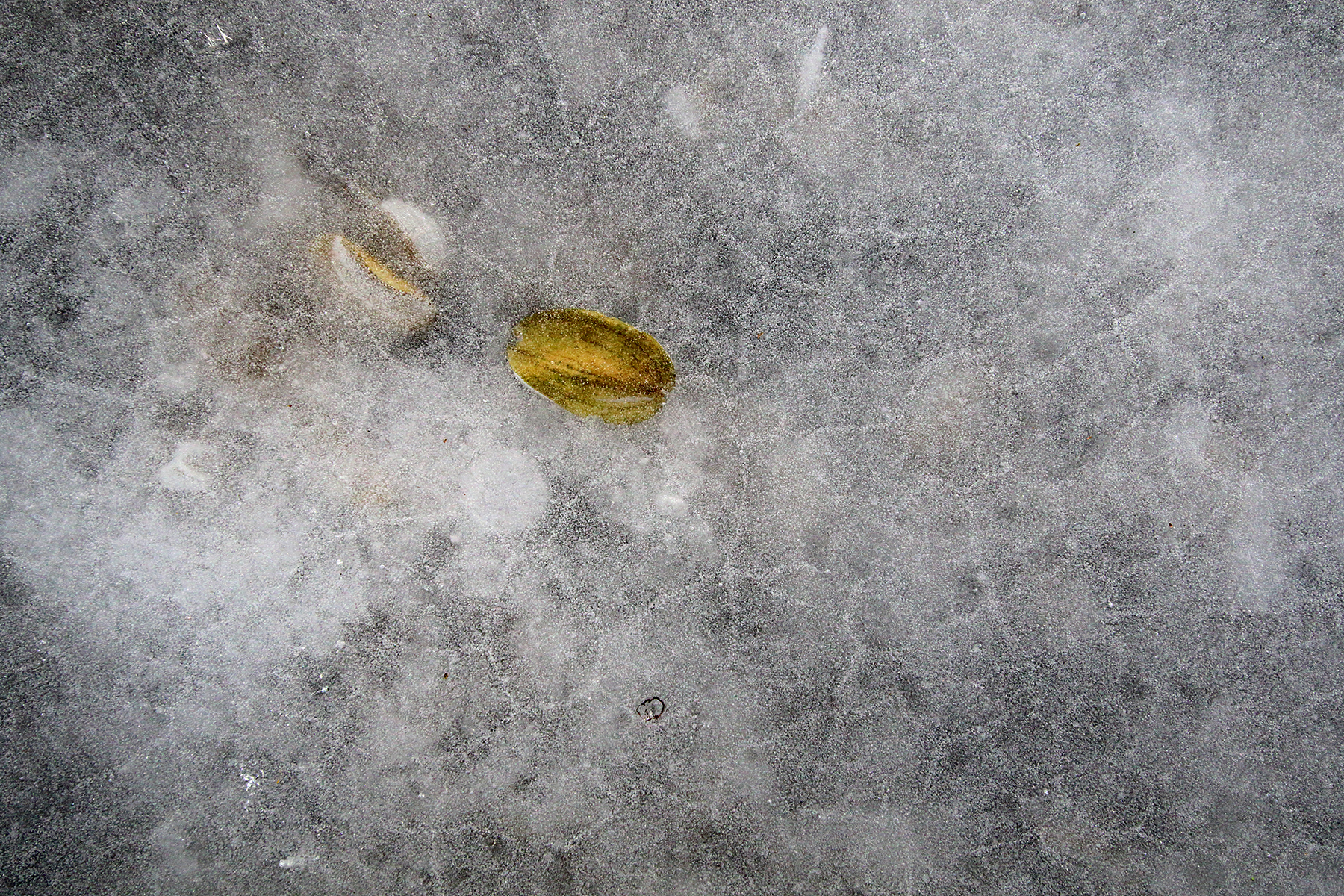 glace lac haut-Jura