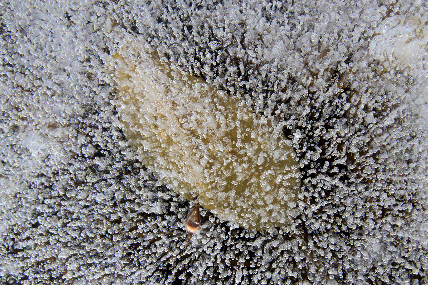 glace lac haut-Jura