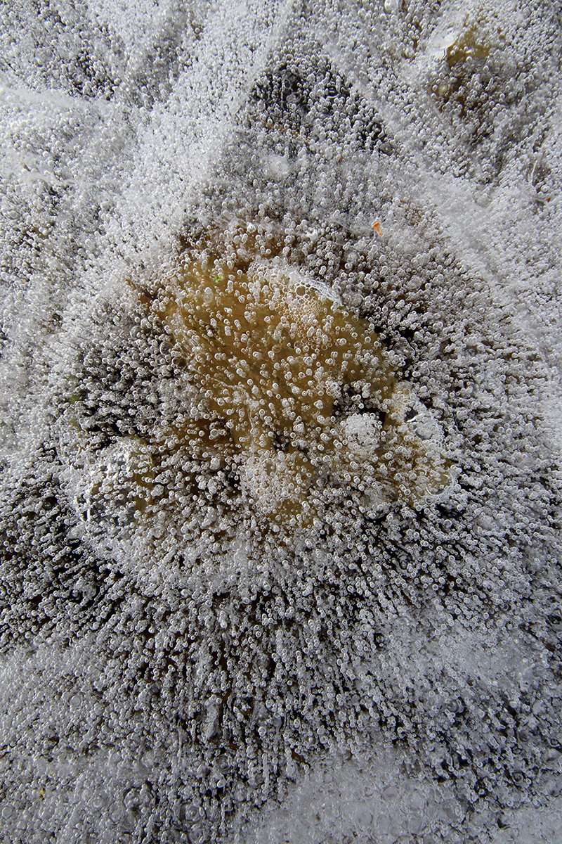 glace lac haut-Jura