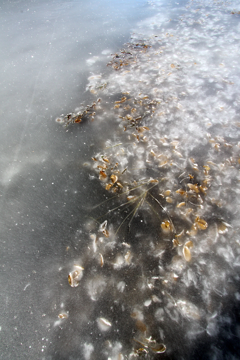 glace lac haut-Jura