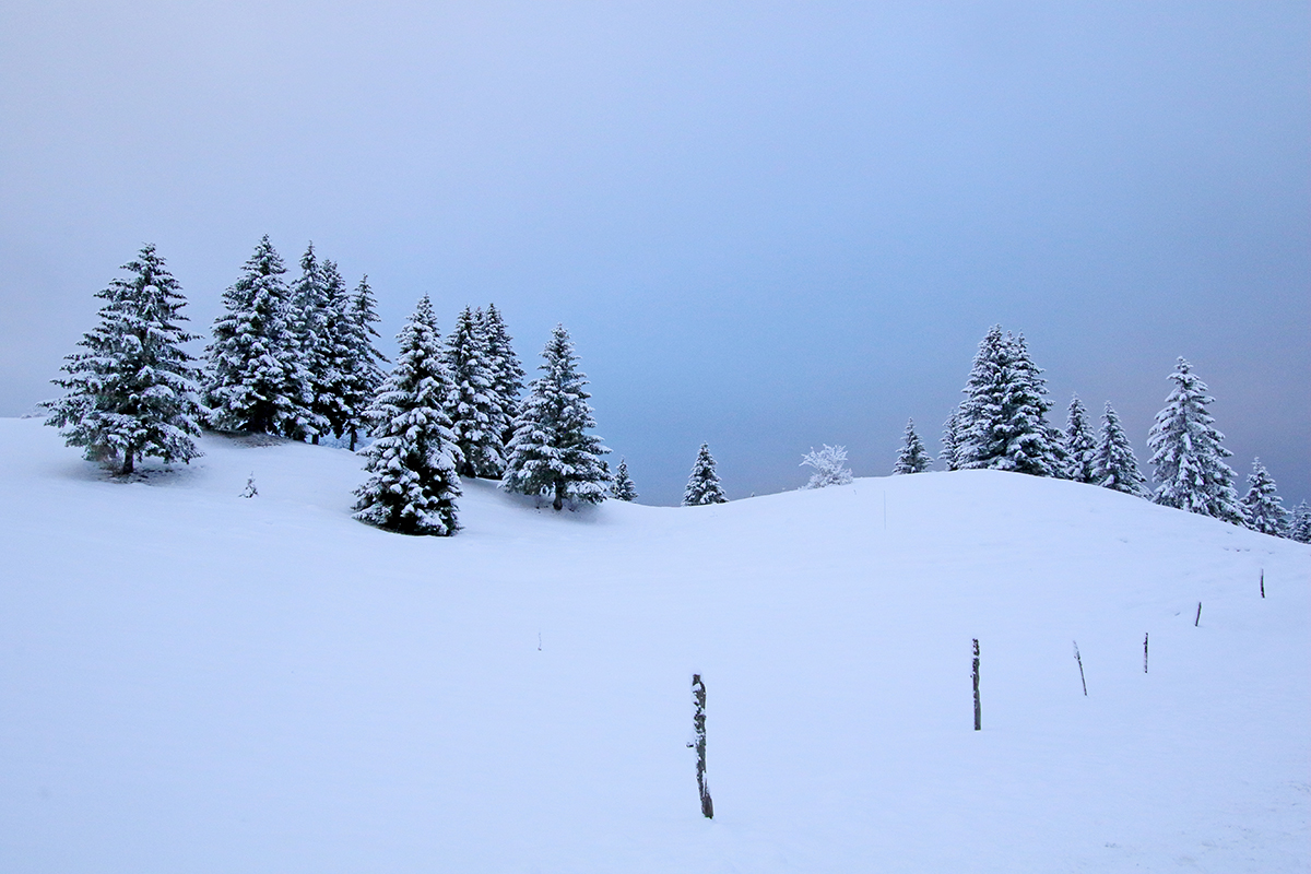 neige haut-jura