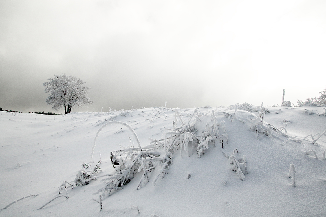 hiver haut-jura