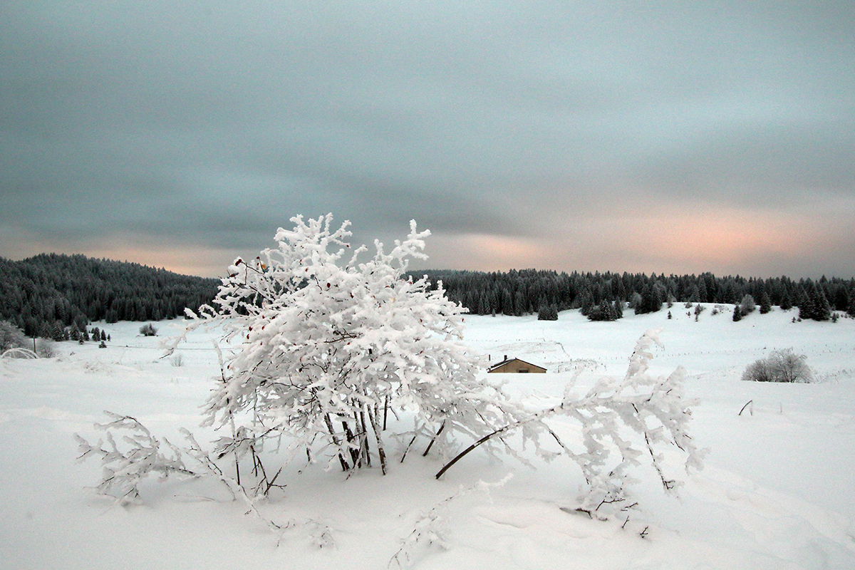 hiver haut-jura