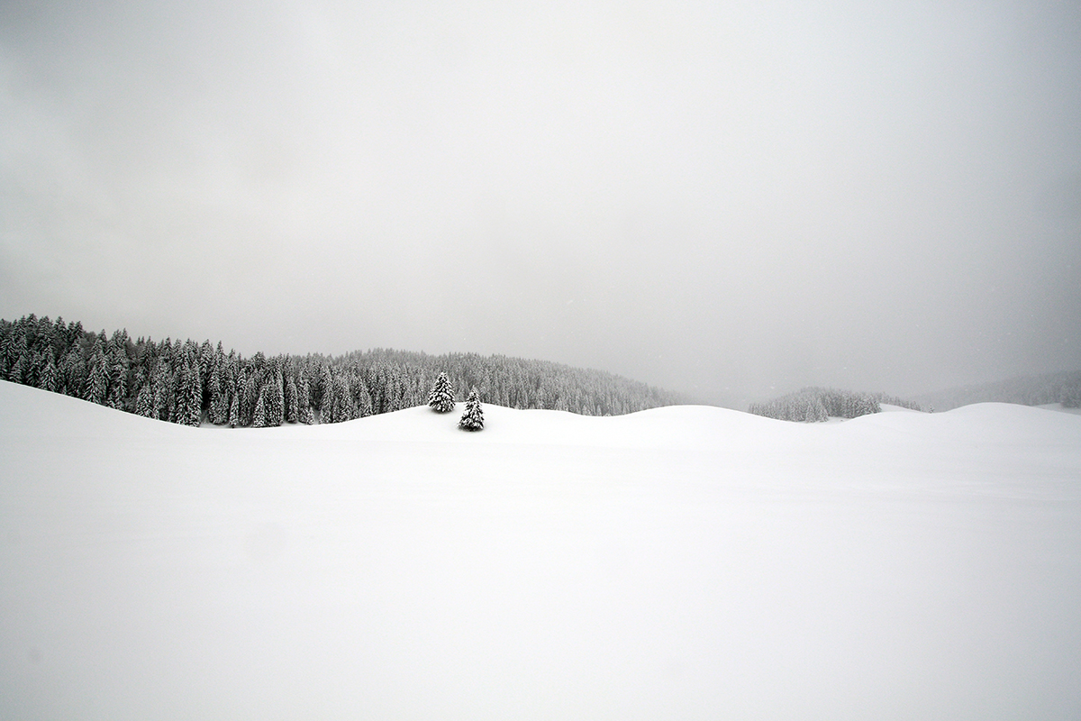 avril 2019 Hautes Combes