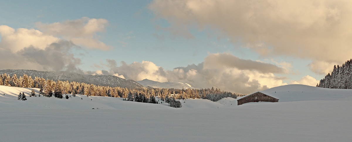 avril 2019 Hautes Combes