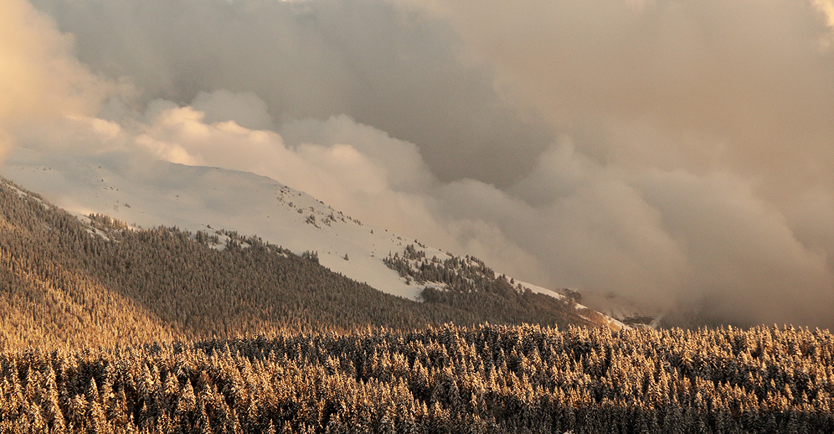 avril 2019 Hautes Combes