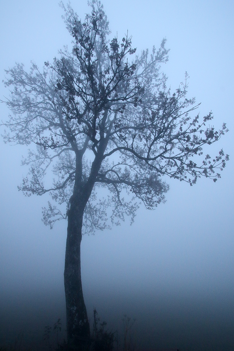 brume automne jura