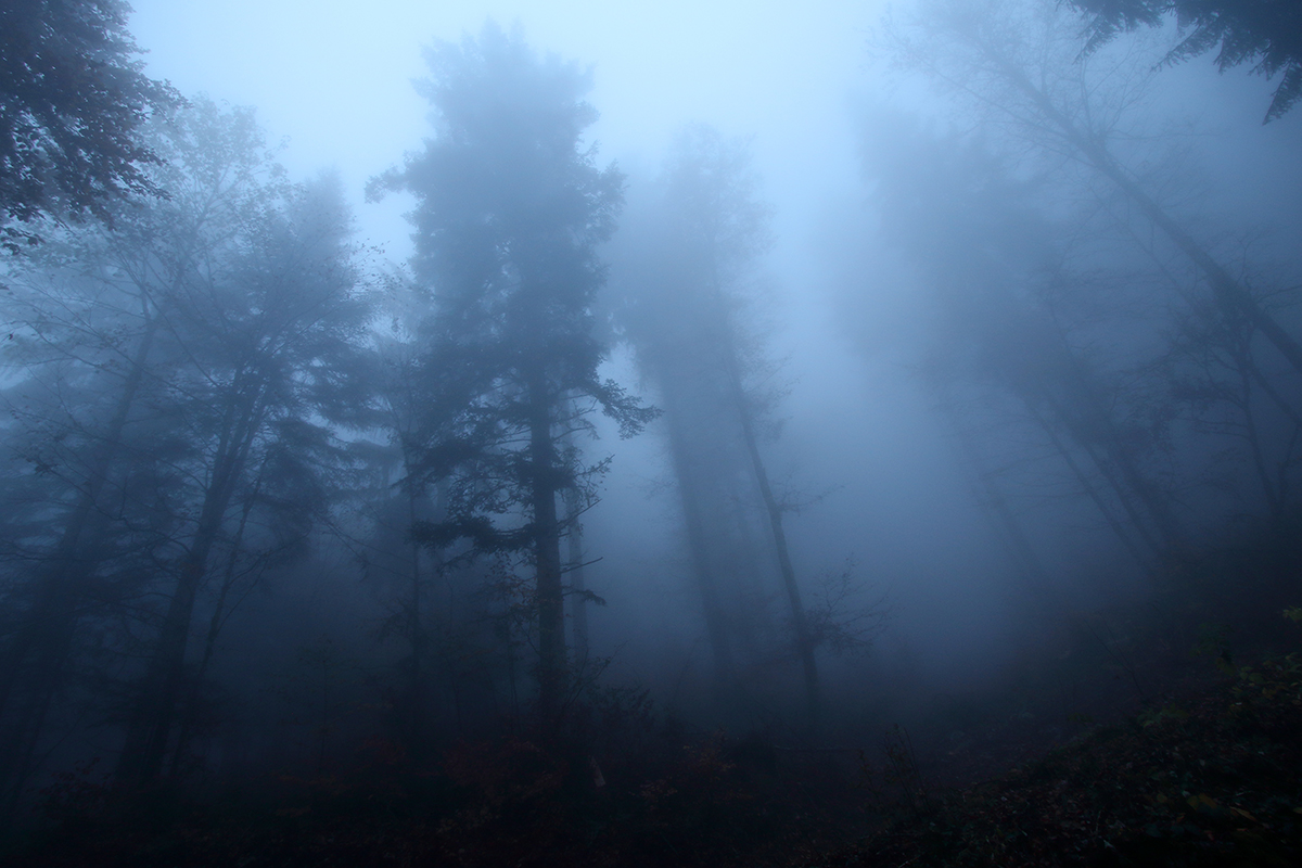 brume automne jura