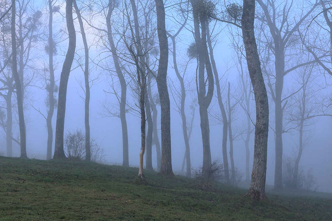 brume septmoncel