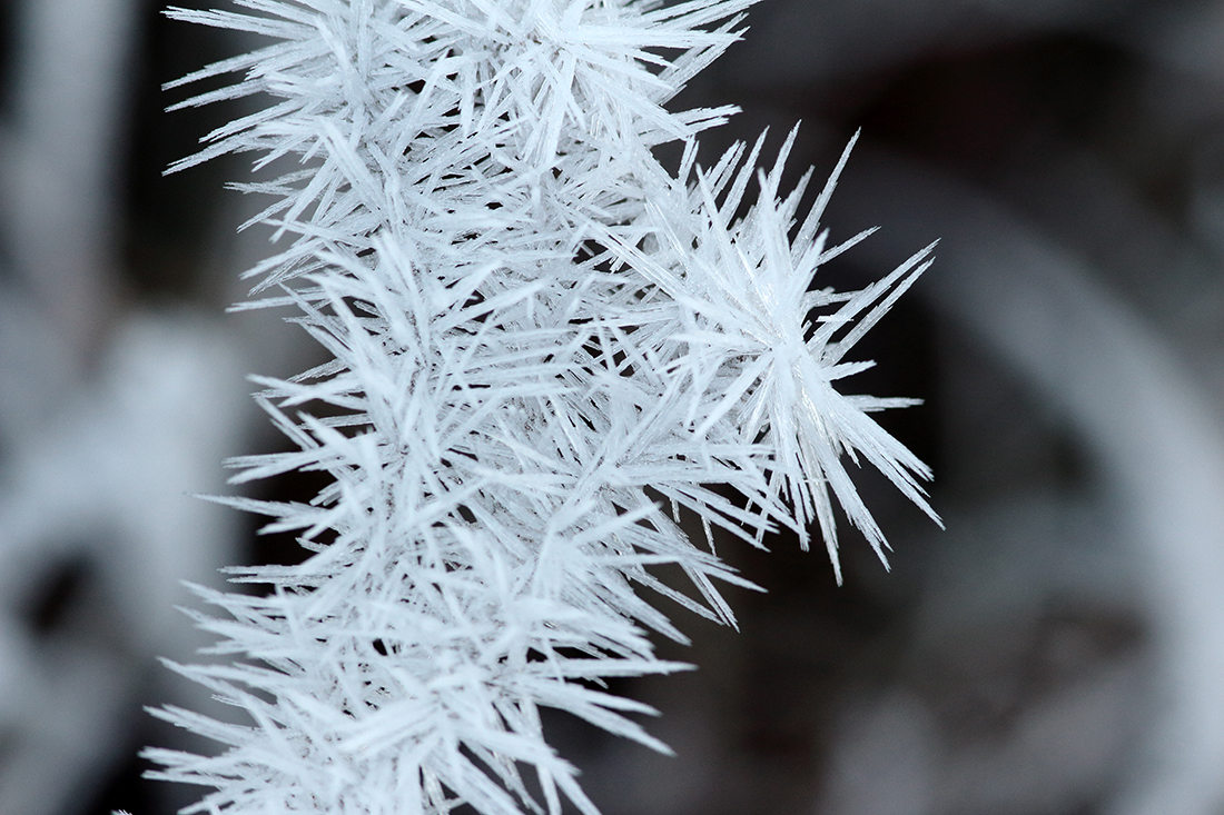 givre bellecombe