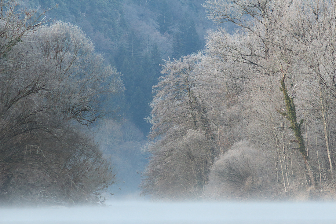 bienne givre