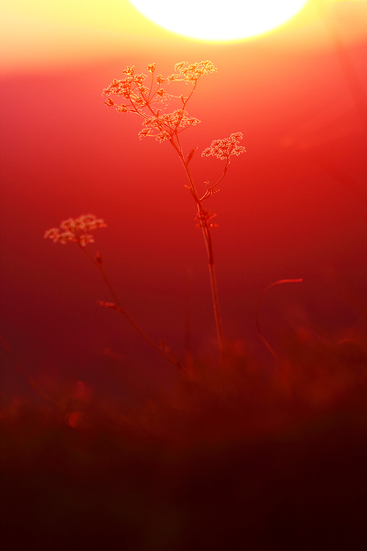 coucher de soleil septmoncel