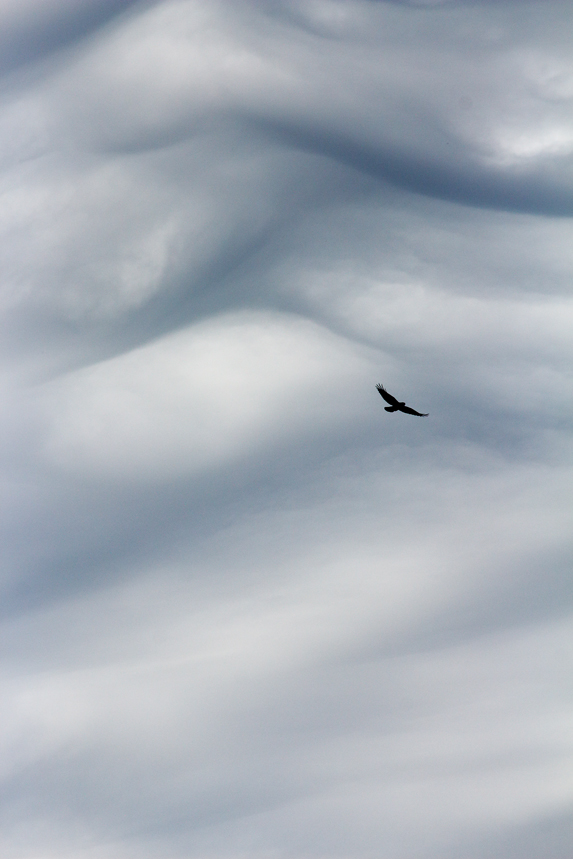 ciel nuages dessins julien arbez