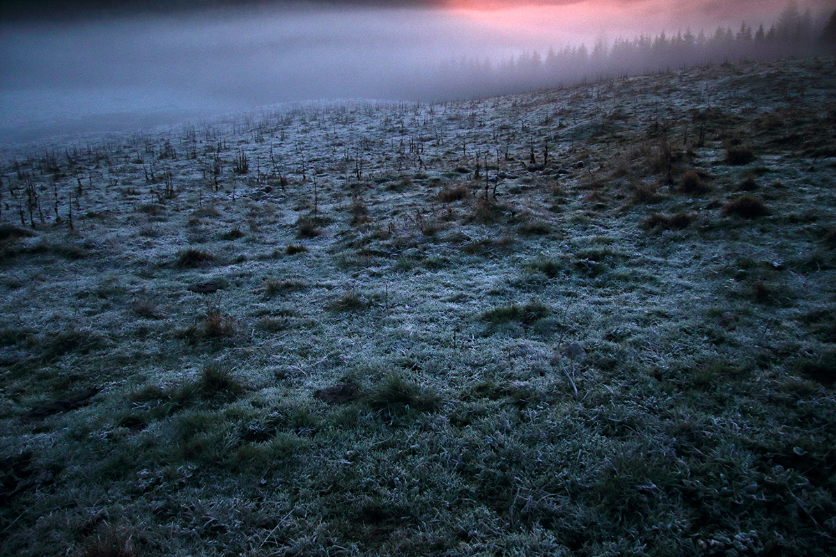 forêt du massacre lever du jour