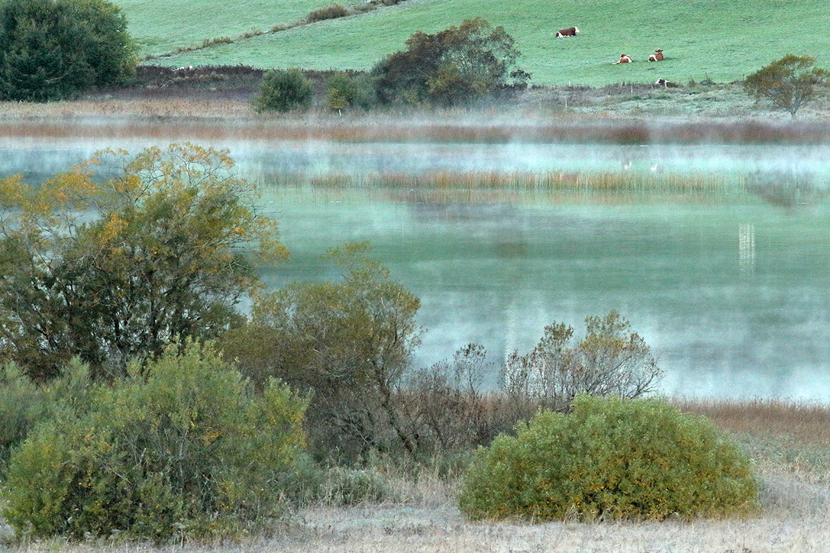 lac des rousses automne