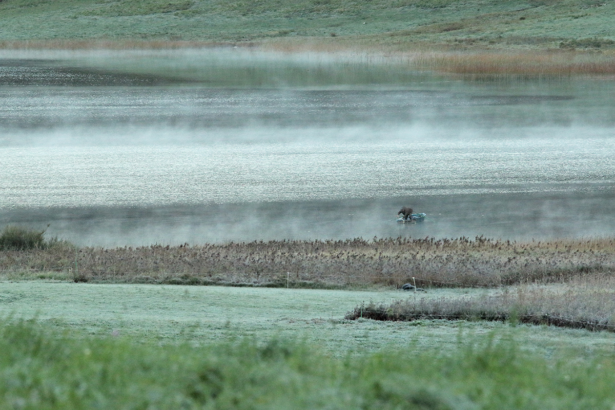 lac des rousses automne