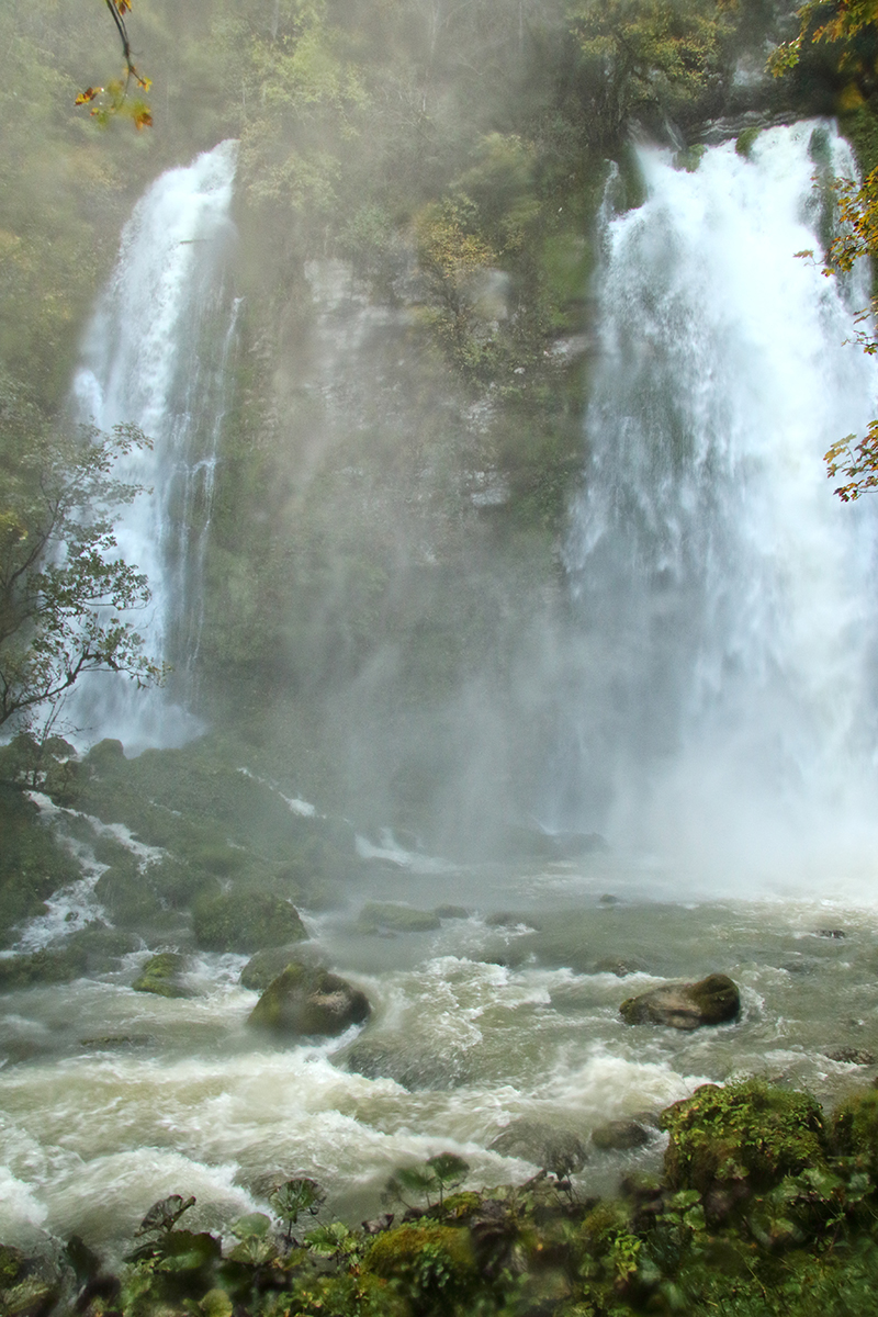 le flumen automne